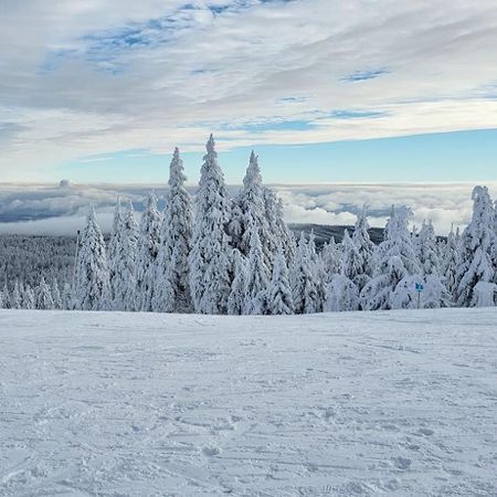 Chata Jeleni Drevenice S Vlastni Virivkou Horni Halze Экстерьер фото