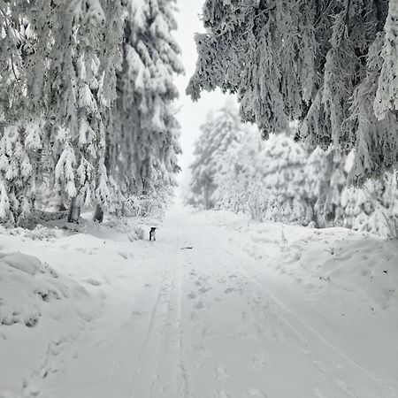 Chata Jeleni Drevenice S Vlastni Virivkou Horni Halze Экстерьер фото